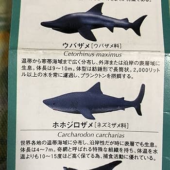 ♯Hsi09LJ地球生命紀行サメ&amp;日本近海の生き物ストラップフル8種 ♯Hsi09LJ地球生命紀行サメ&日本近海の生き物ストラップフル8種 海洋